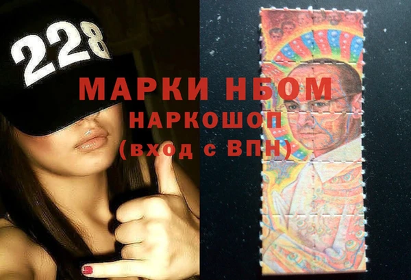 прущие грибы Абаза