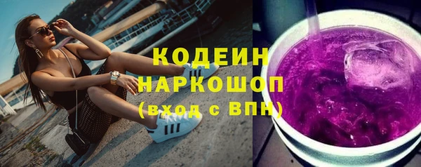 прущие грибы Абаза