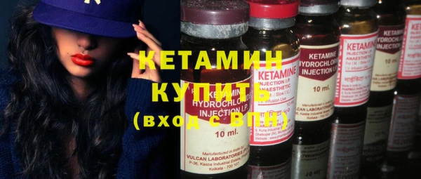 прущие грибы Абаза
