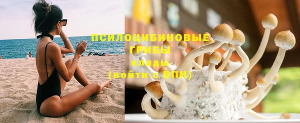 прущие грибы Абаза