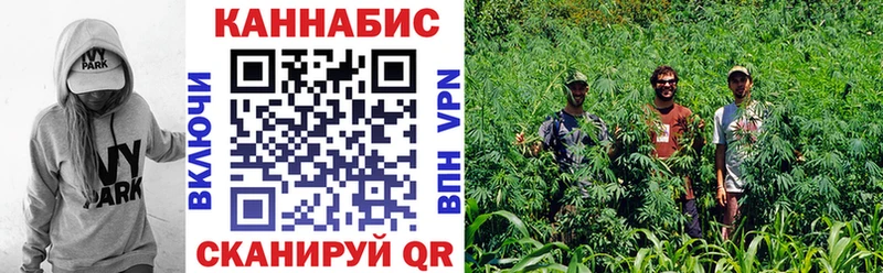 Конопля план  купить закладку  Волоколамск 